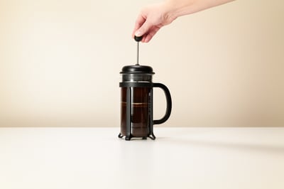 brewguide visual french press extraction