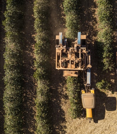 common grounds vertical image