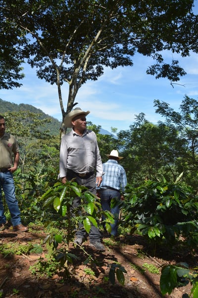 Responsible Purchasing Vertical